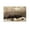 Unframe-style, variant on Andrew Wyeth The Helga for Room Aesthetic Wall Art Prints Framed Paintings Wall Art Poster Scroll Canvas Painting Picture Living Room Decor Home 08x12inch(20x30cm)