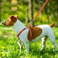 thumbnail image 7 of Plutus Pet Cotton Hemp Step In Dog Harness, Sustainable, Lightweight and Escape-Proof, Easy Walk Dog Harness for Puppy Small Medium and Large Dogs, Orange, M, 7 of 7