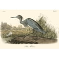 thumbnail image 2 of Art.com Blue Heron Art Print by John James Audubon, 36" x 24", 2 of 4
