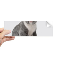 thumbnail image 1 of Autocollant Rectangulaire Oreilles Corps Koala pour Carnet Fenêtre, 1 of 1
