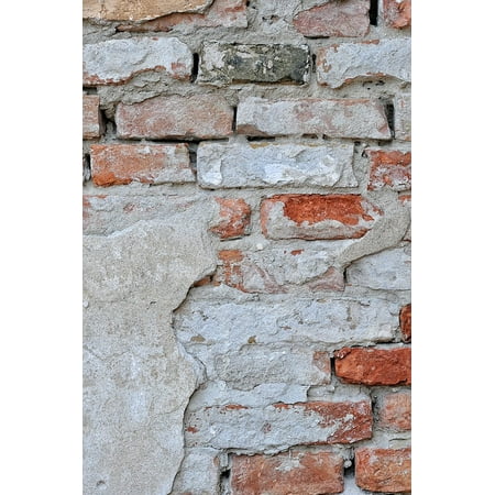 iPhone XS Max Plastic Case Cover with Stone Texture Plaster Bricks Wall Building Paint Picture Printed on