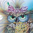 thumbnail image 2 of Rhinestone Painting Luminous Color Cute Owl Pattern DIY Home Wall Decoration Picture, 2 of 3