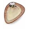 thumbnail image 3 of American Made ceramic Stoneware Spoon Rest with Busy Bee Motif, 3 of 4