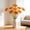 #104Orange, variant on Realistic Artificial Transvaal Gerbera Single Stem, Lifelike White Petals Green Stem, No Watering for Home Decor Wedding Bouquet Table Centerpiece, Fade-Resistant