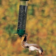 Droll Yankees Squirrel Proof Bird Feeders for Outdoors - YF-M - Flipper, Collapsible Perches, 5-Pound Seed Capacity, Green