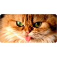 thumbnail image 1 of Plaque d'Immatriculation Photo Visage de Chat Brun, 1 of 1