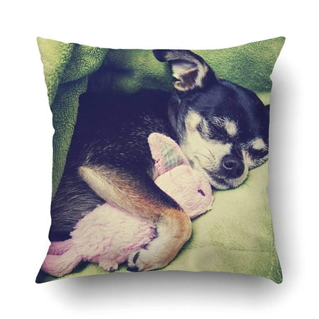 ARTJIA A Tiny Chihuahua Cuddling His Pink Bunny Stuffed Animal Toy Under Green Blanket Pillowcase Pillow Cushion Cover 20x20