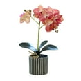thumbnail image 2 of tasrioml Artificial Potted Plant Faux Moth Orchid Bonsai Desktop Artificial Potted Phalaenopsis Flowers for Home Dining Table Office Desk Decoration, 2 of 8