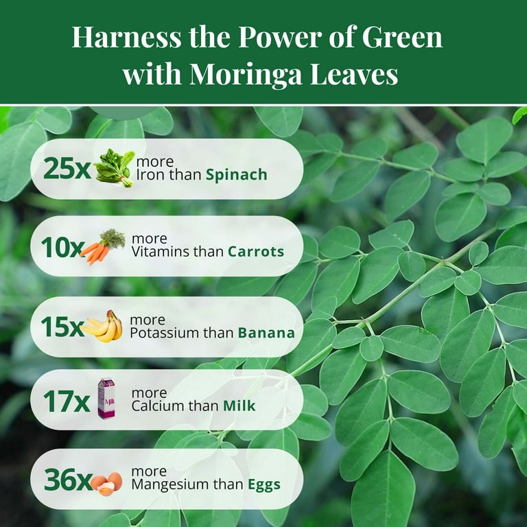 2.6oz Dried Moringa Leaves, Loose Leaf, Herbal Tea, No Additives, Non GMO,  by Akshit