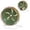 Blackish Green, variant on Super-Silent Hamster Exercise Wheels - Quiet Spinner Hamster Running Wheels with Adjustable Stand for Hamsters Gerbils Mice Or Other Small Animals (M, Green)