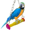 thumbnail image 1 of Perroquet Suspendu Swing Interactif Amusant Oiseau Cage Swing Perroquet Cage Perche, 1 of 10