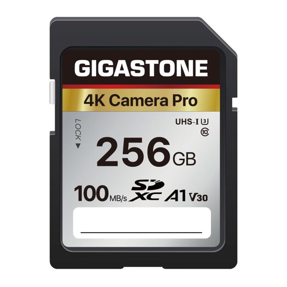[5-Yrs Free Data Recovery] GIGASTONE 256GB SD Card, 4K Camera Pro, A1 V30 SDXC Memory Card 4K UHD Video Compatible with Canon Digital Camera, with 1 M