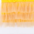 thumbnail image 3 of Biezeib Dog Dresses for Small Dogs Girl Summer Puppy Clothes Outfit Apparel Female Cute Cat Skirt Tulle Tutu Clothing Pet Dress, 3 of 6