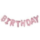 thumbnail image 3 of Ounissouiy Juego de FELIZ CUMPLEAÑOS Letras del alfabeto Globos de papel de aluminio Decoración de fiesta de cumpleaños Kits de decoración para fiestas No.01, 3 of 8