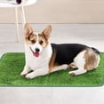 thumbnail image 3 of Simulation Lawn Mat Dog And Cat Play Scratching Mat, 3 of 16