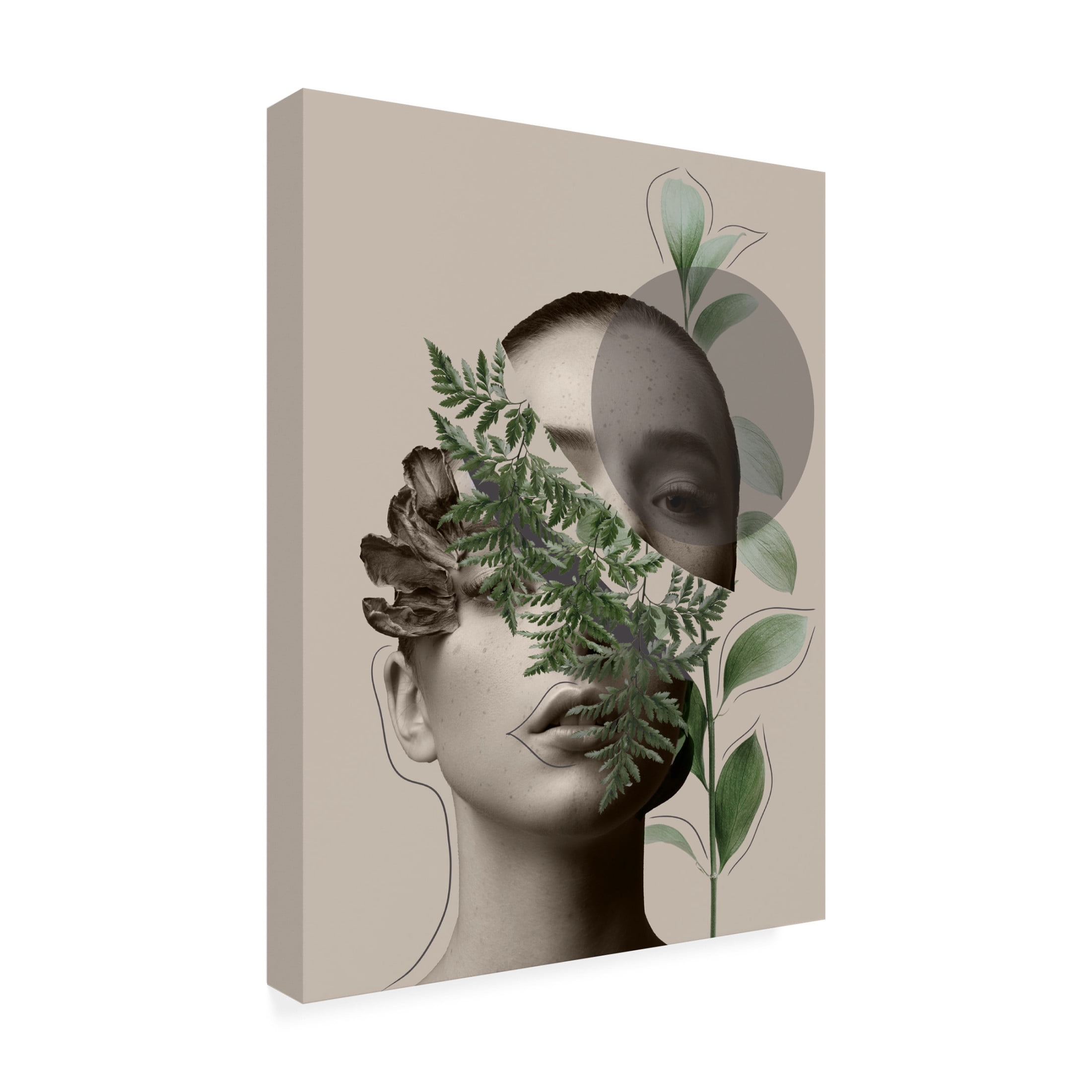 Canvas Wall Art - Leila 'Lili Collection Creative Art Series' Wall Art for Living Room, Bedroom, or Office Décor by Trademark Fine Art - 24 x 32 Inches