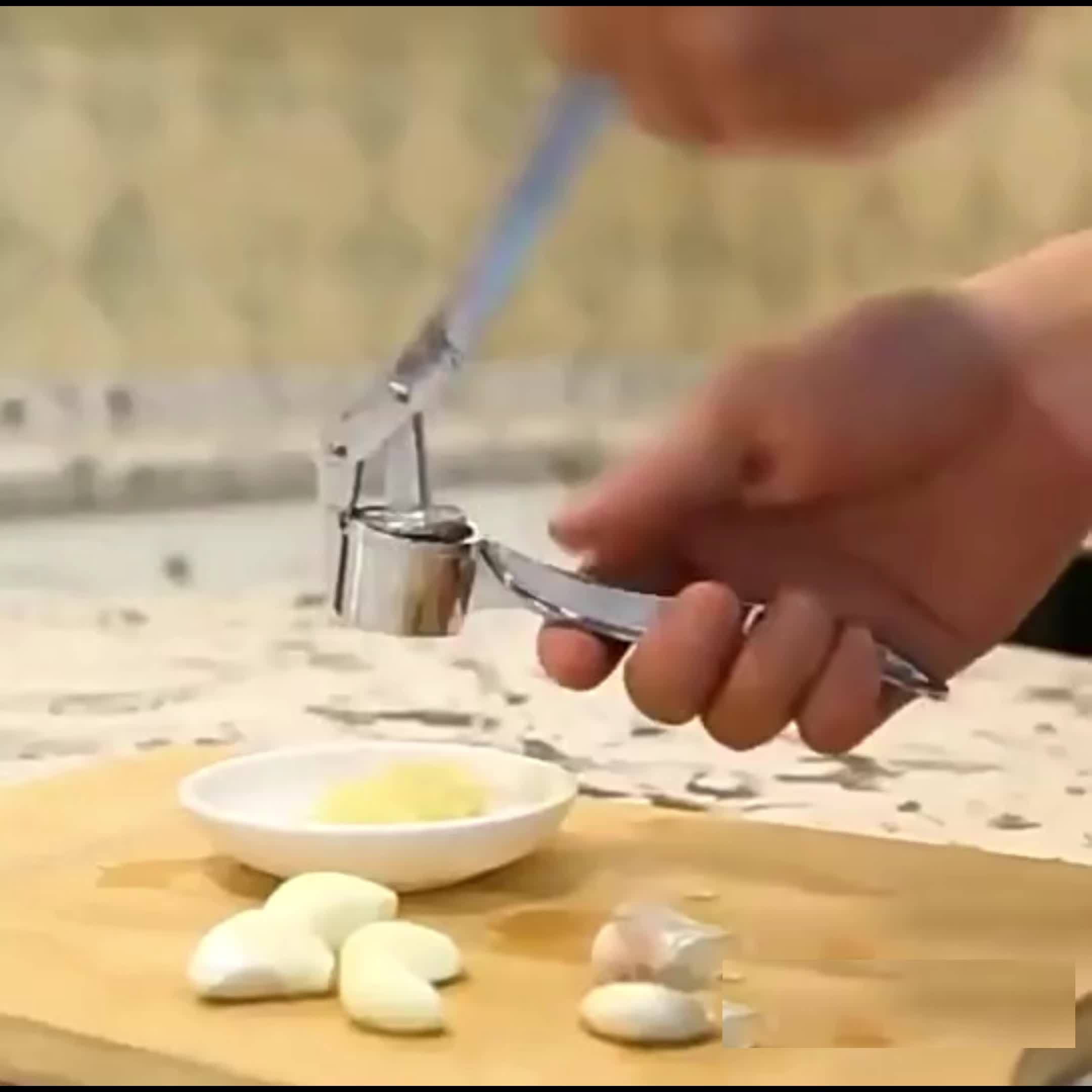 Professional Stainless Steel Garlic Press, Heavy Duty Mincer for Ginger & Nuts, Effortless to Squeeze, Easy Clean Design