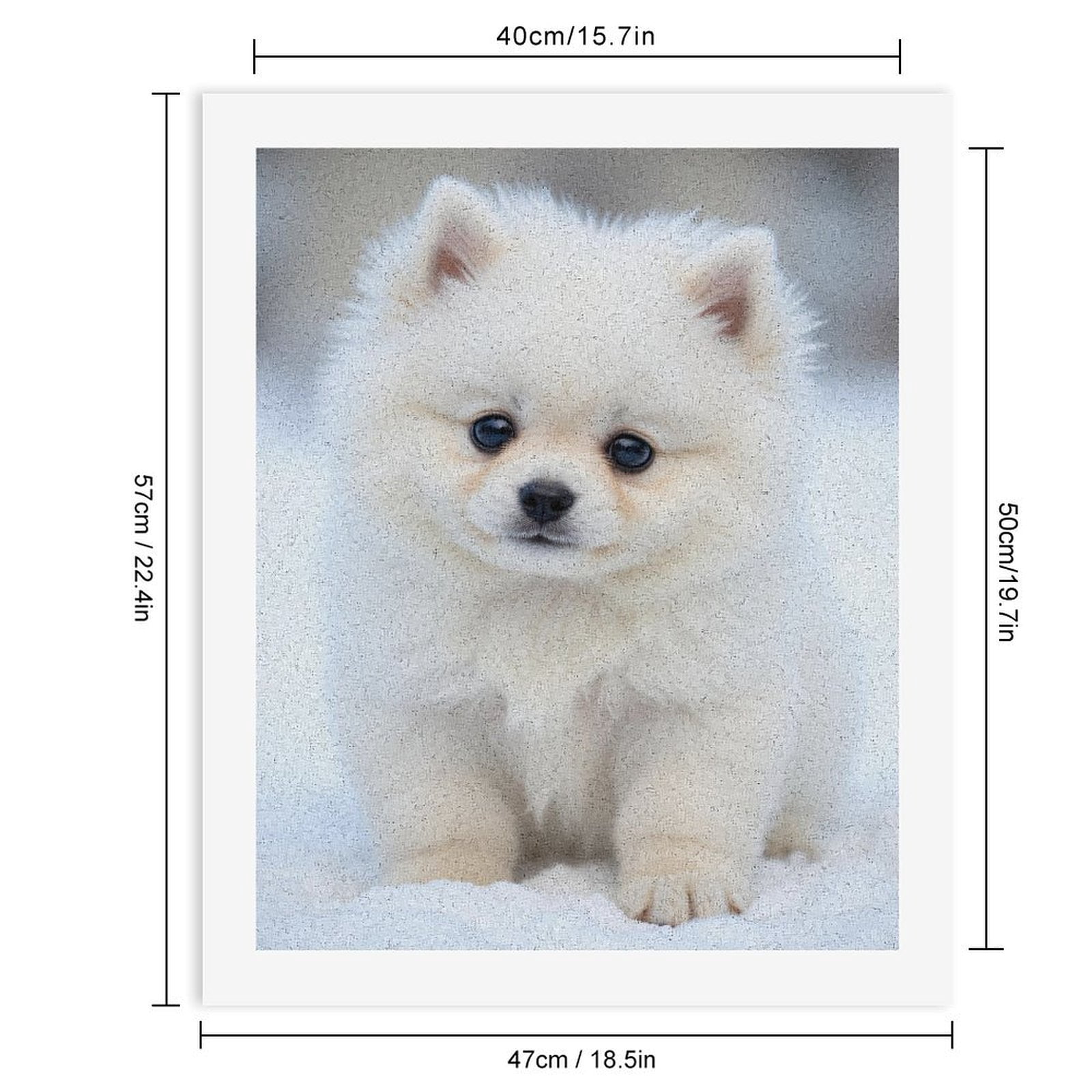 Paint by Numbers Kit for Adults, White Pomeranian Puppy Snowy Day Paint by Numbers, Easy Paint by Numbers Kit for Adults Beginner, DIY Adult Paint by Number Kits on Canvas, Home Decor