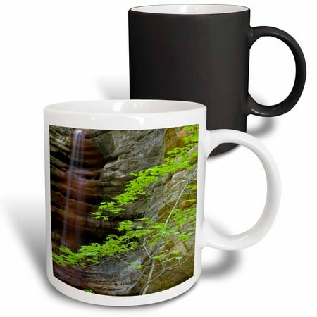 

3dRose Waterfall St Louis Canyon Starved Rock Illinois - US14 CHA0009 - Chuck Haney Magic Transforming Mug 11oz