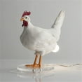 thumbnail image 2 of Chicken Led Lights Eggs Night Light Taxidermy Chicken Egg Desk Lamp, 2 of 5