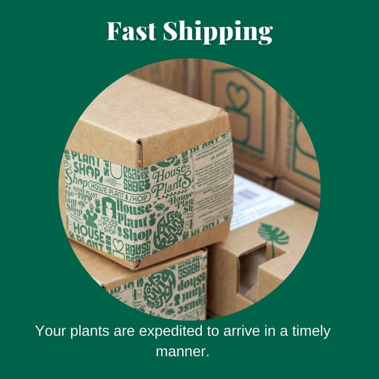 indoor garden planter Self-Watering Rolling Tomato Planter with Trellis–Vego Garden, Cream White main image 0