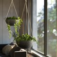 thumbnail image 6 of Hanging Planters for Indoor Plants, Medium Hanging Planters with Drain Holes, Outdoor Hanging Flower Pots, Matte Black, Honeycomb (10 Inch, Set of 2), 6 of 7