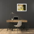 thumbnail image 3 of Plank, Savanah 18x15 White Modern Wood Framed Museum Art Print Titled - Boat line coiled, 3 of 4
