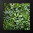 thumbnail image 2 of Bell, Jan 12x12 Black Modern Framed Museum Art Print Titled - Forest Floor Detail, 2 of 5