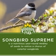 thumbnail image 6 of Audubon Park Songbird Supreme Wild Bird Food, Dry, 1 Count per Pack, 15 lbs., 6 of 13