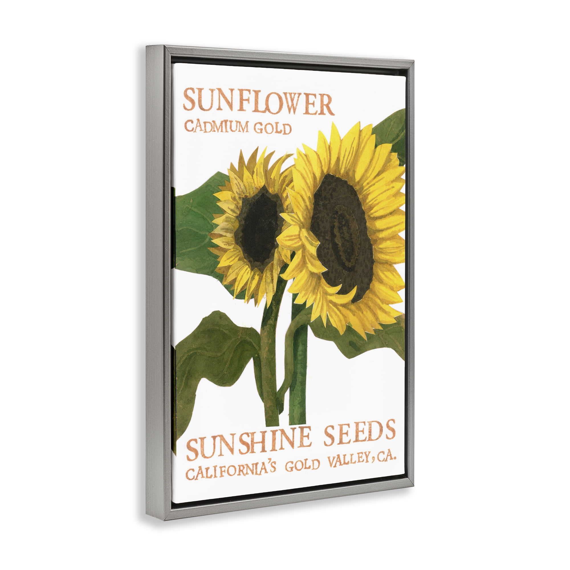 Stupell Industries Sunflower Seeds Design Typography Painting Gray Floater Framed Art Print Wall Art, 21 x 31