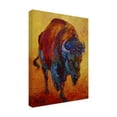 thumbnail image 3 of Trademark Fine Art Marion Rose Head On Canvas Wall Art - 18x24, 3 of 5