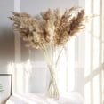 thumbnail image 4 of Hierba de pampa seca natural, tallos que se desprenden poco para decoración de bodas bohemias, sin mantenimiento (30/50 piezas), 4 of 5
