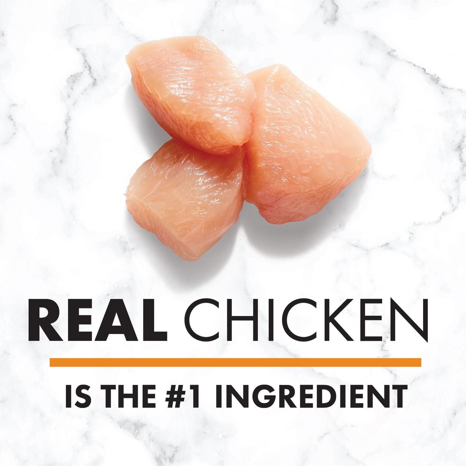 Nourriture humide pour chiens adultes NUTRO Pain de viande de première qualité Poulet, pommes de terre, carottes et petits pois 355g