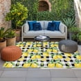 thumbnail image 2 of Lemon Yellow Outdoor Rug for Patio/Deck/Porch, Non-Slip Large Area Rug 3 x 5 Ft, Watercolor Fruit Black White Buffalo Plaid Indoor Outdoor Rugs Washable Area Rugs, Camping Rug Carpet Runner, 2 of 8