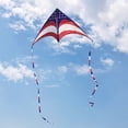 thumbnail image 7 of Mint's Colroful Life American Flag Delta Kite for Adults & Kids, Easy to Fly Kite Polyester, 7 of 7