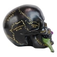 thumbnail image 4 of Ebros Paranormal Pentagram Colonial Witch Salem Map Skull Statue 7" Long, 4 of 8