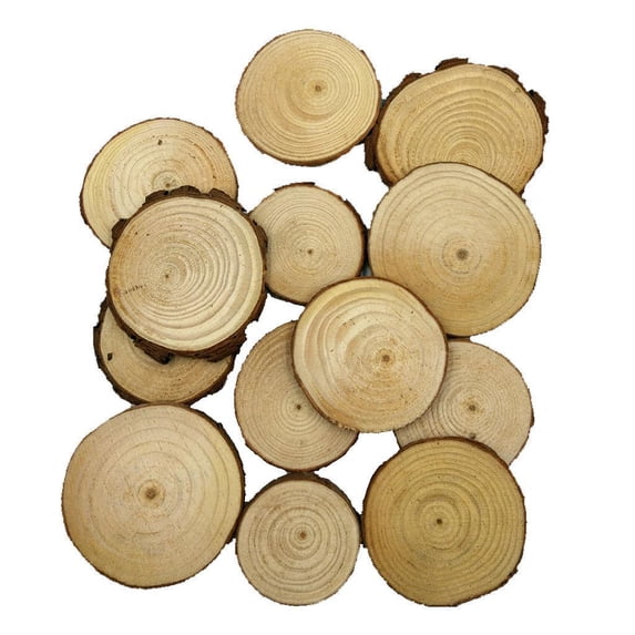 20 Pieces DIY Crafting Wedding Hobbies Centerpiece Crafts Christmas Rustic Decorations Wood Log Slices Discs 5-7cm