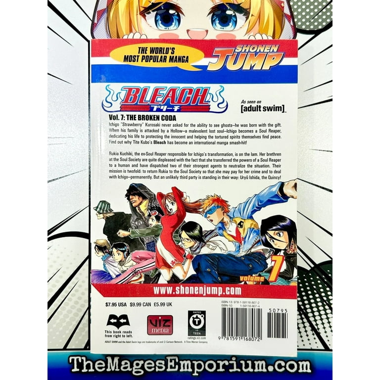 Bleach Bleach, Vol. 7: The Broken Coda, (Paperback) - Walmart.com