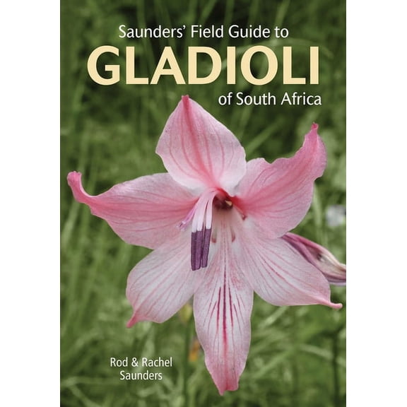Struik Nature Field Guides Saunders' Field Guide to Gladioli of South Africa, (Paperback)