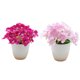 thumbnail image 1 of 2 piezas de simulación de hortensia pequeña, bonsái, flor de seda, simulación de planta verde, decoración interior, planta artificial, planta en maceta, 1 of 5