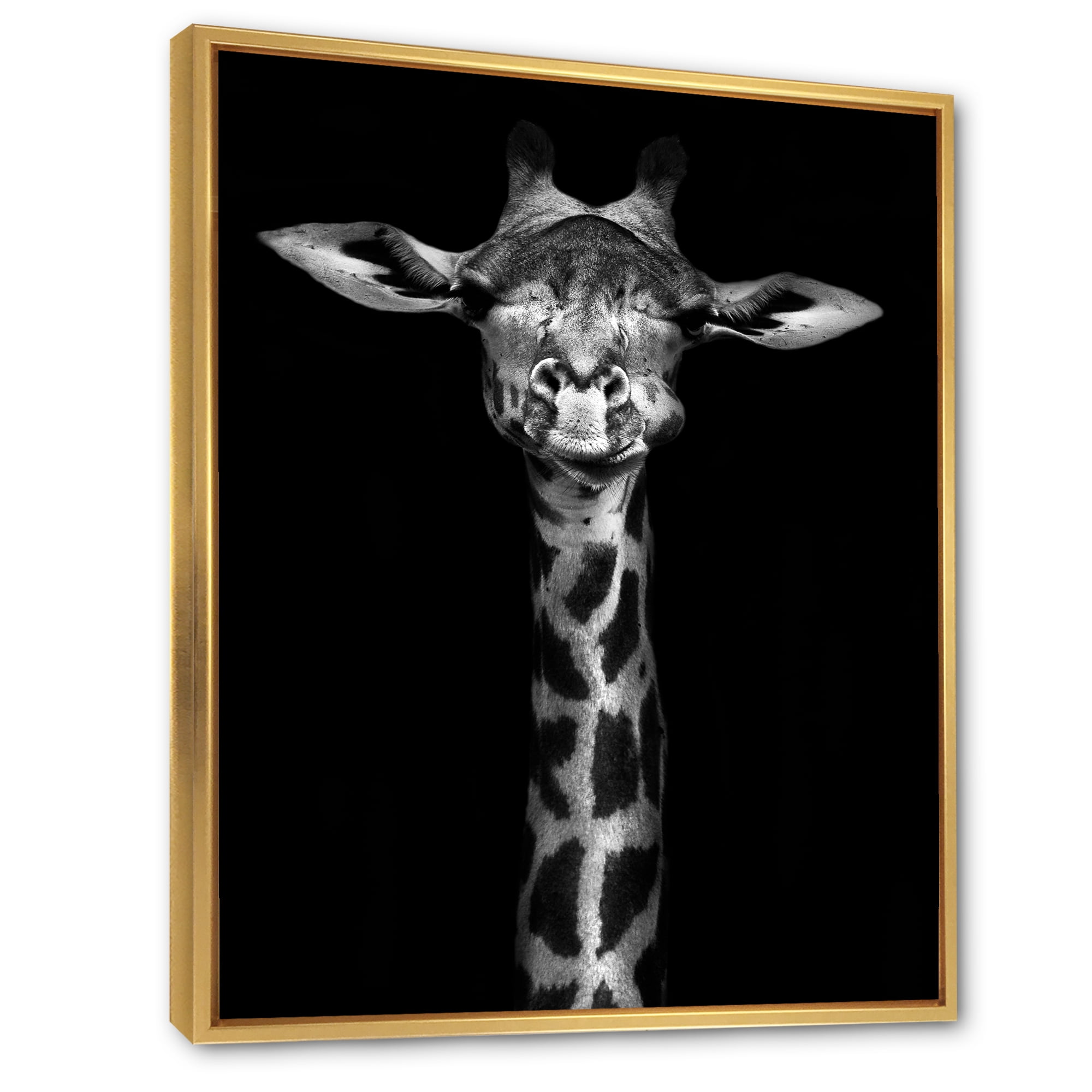 Portrait Of A Giraffe In Monochrome 16 in x 32 in Framed Painting Canvas Art Print, by Designart