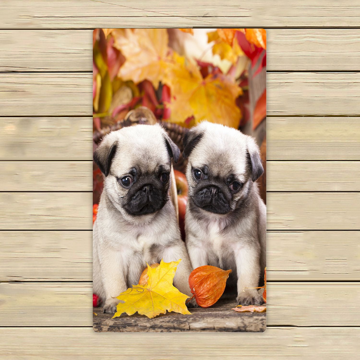 pug towel walmart
