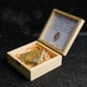 thumbnail image 2 of Trilobite Trilobite Piedra Ciencia Colección de muestras de enseñanza Ciencia Hugo Colección de fósiles de trilobites, 2 of 9