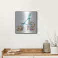 thumbnail image 5 of Luxe Metal Art 'Rainbow Seeds Monogram A' by Lisa Audit, Metal Wall Art, 12"x12", 5 of 9