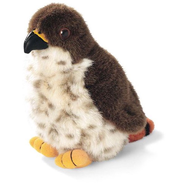 Red Tailed Hawk Audubon Plush Bird Authentic Bird Sound Bright Detailed Designs With Authentic Bird Calls By Wild Republic Walmart Com Walmart Com