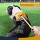 thumbnail image 4 of 2 en 1 ningún arnés del perro del tirón y correa de perro retractable, arnés reflexivo del perro del servicio, perro ajustable V, 4 of 5