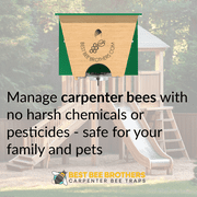 Best Bee Turbo Trap 2.0 with Bee Vault for Catching Carpenter Bees by Best Bee Brothers