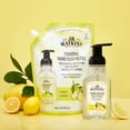 J.R. Watkins Foaming Hand Soap, Lemon Refill, Citrus Scent, 28 fl oz