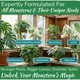 thumbnail image 4 of Monstera Plant Food by Houseplant Resource Center  Premium Liquid Fertilizer 5-2-3 NPK - Ideal for Monstera, Pothos, and Snake Plants 8 Fluid Ounces, 4 of 9
