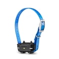 thumbnail image 1 of Collar para perro Garmin PT10 Azul, 1 of 3